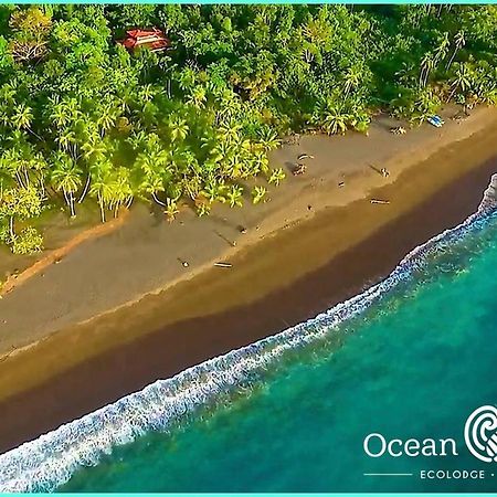 Ocean Forest Ecolodge San Pedrillo Eksteriør billede