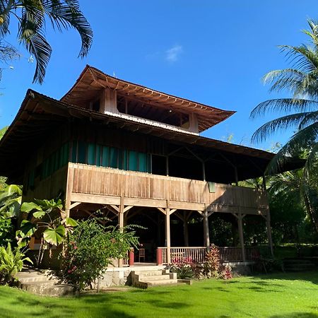 Ocean Forest Ecolodge San Pedrillo Eksteriør billede