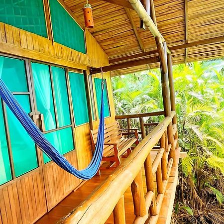 Ocean Forest Ecolodge San Pedrillo Eksteriør billede