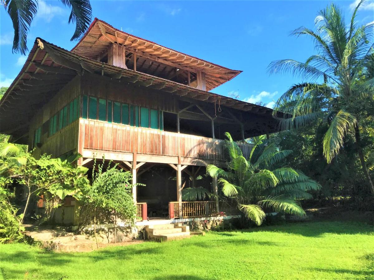 Ocean Forest Ecolodge San Pedrillo Eksteriør billede