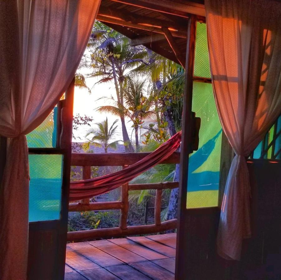 Ocean Forest Ecolodge San Pedrillo Eksteriør billede