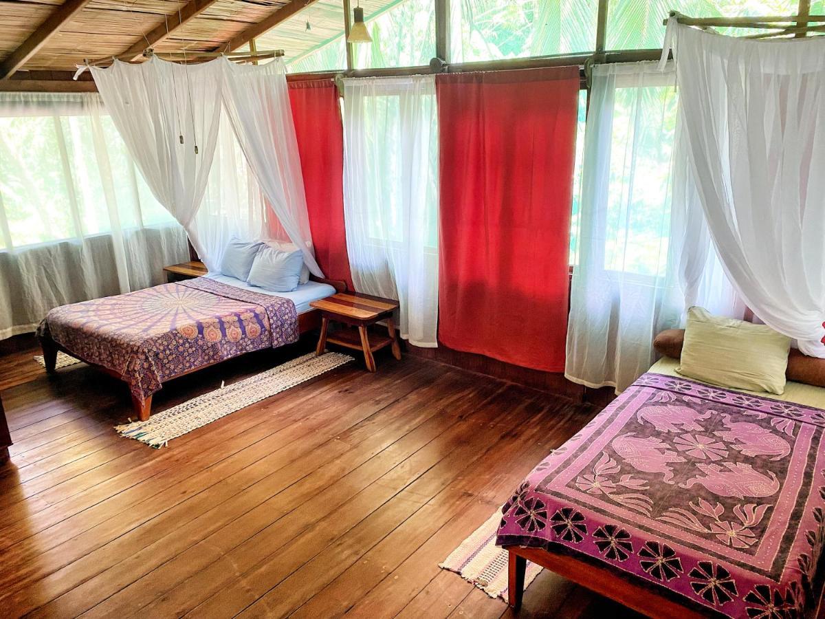 Ocean Forest Ecolodge San Pedrillo Eksteriør billede