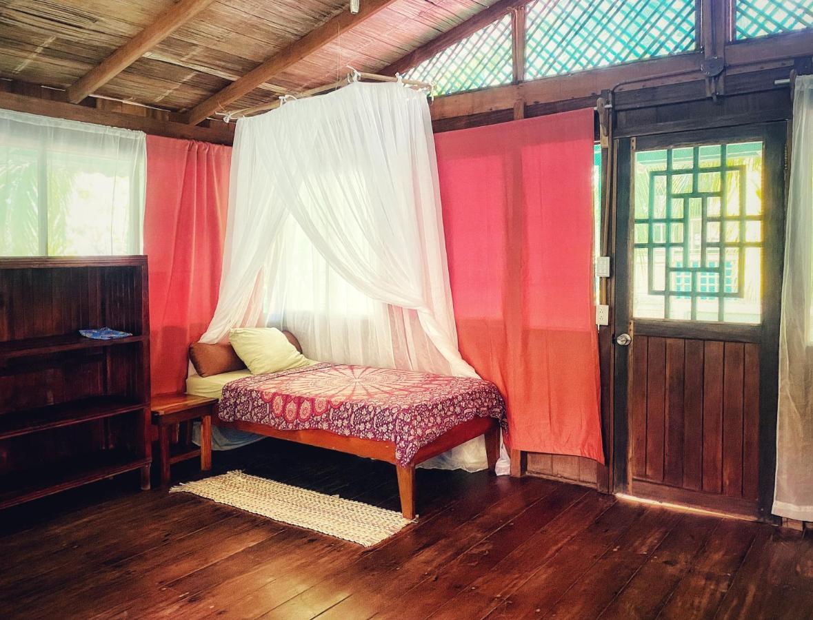 Ocean Forest Ecolodge San Pedrillo Eksteriør billede