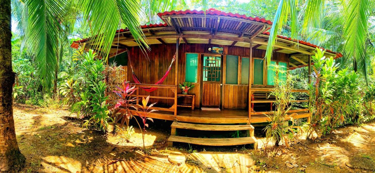 Ocean Forest Ecolodge San Pedrillo Eksteriør billede