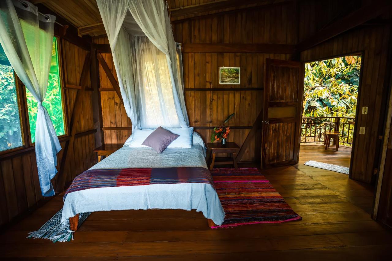 Ocean Forest Ecolodge San Pedrillo Eksteriør billede
