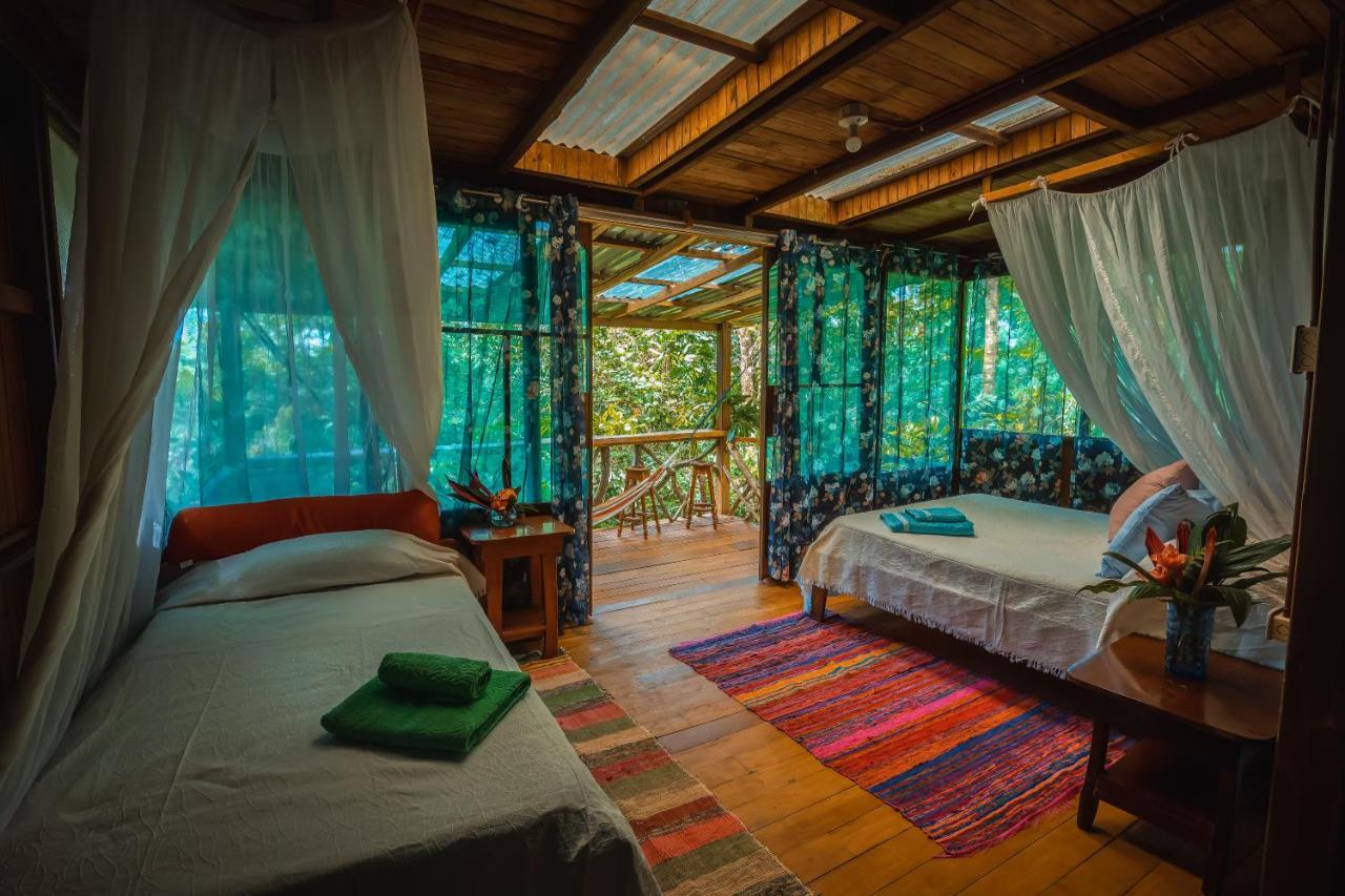 Ocean Forest Ecolodge San Pedrillo Eksteriør billede