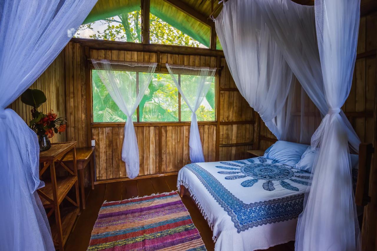 Ocean Forest Ecolodge San Pedrillo Eksteriør billede
