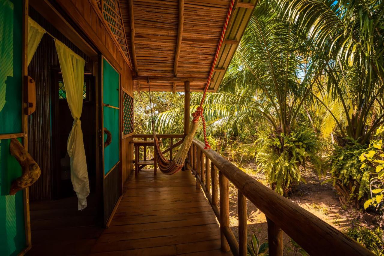 Ocean Forest Ecolodge San Pedrillo Eksteriør billede