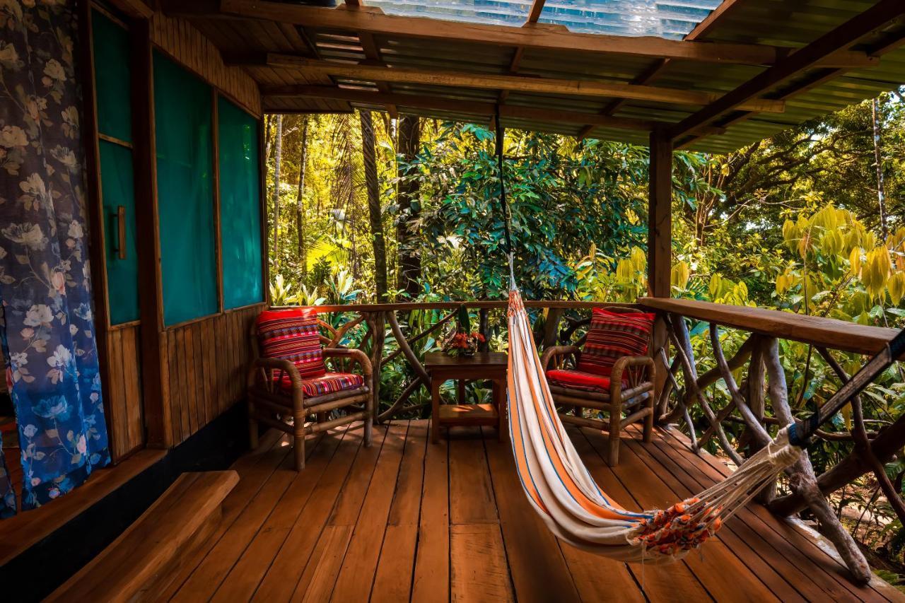 Ocean Forest Ecolodge San Pedrillo Eksteriør billede