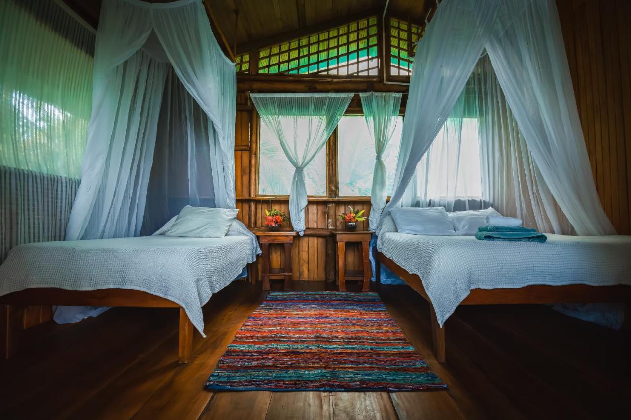 Ocean Forest Ecolodge San Pedrillo Eksteriør billede