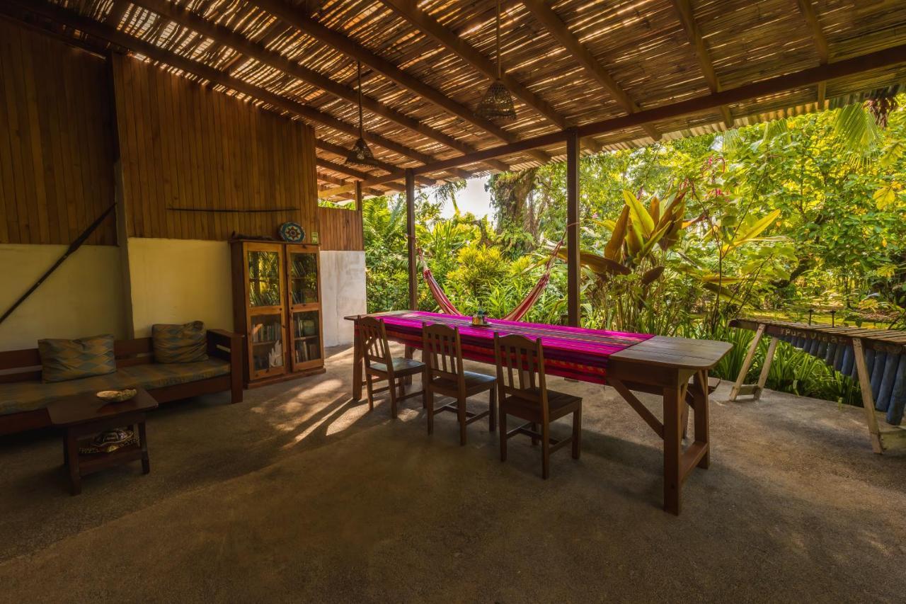 Ocean Forest Ecolodge San Pedrillo Eksteriør billede