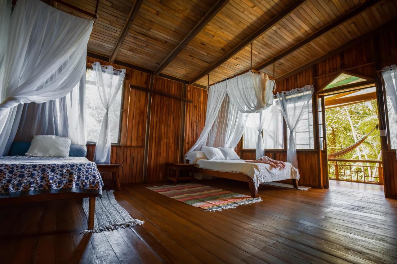 Ocean Forest Ecolodge San Pedrillo Eksteriør billede