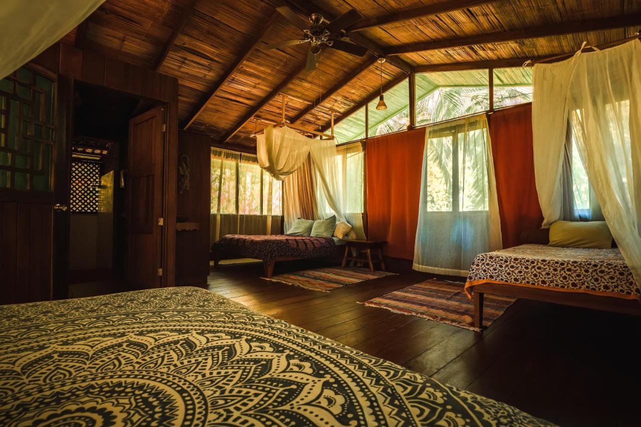 Ocean Forest Ecolodge San Pedrillo Eksteriør billede