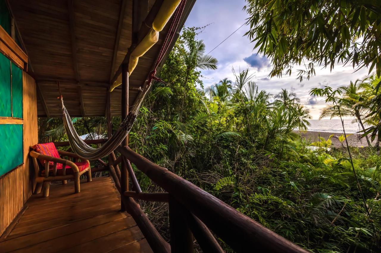 Ocean Forest Ecolodge San Pedrillo Eksteriør billede