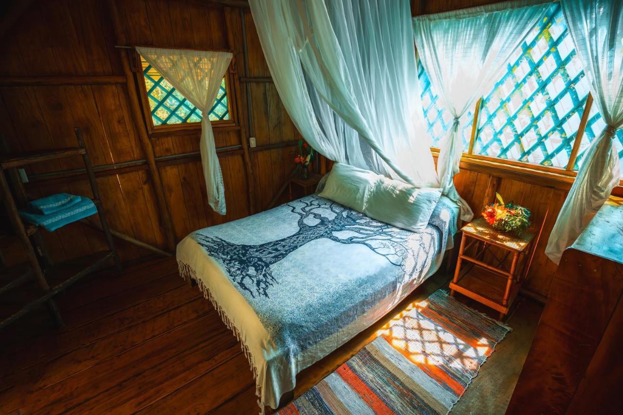Ocean Forest Ecolodge San Pedrillo Eksteriør billede