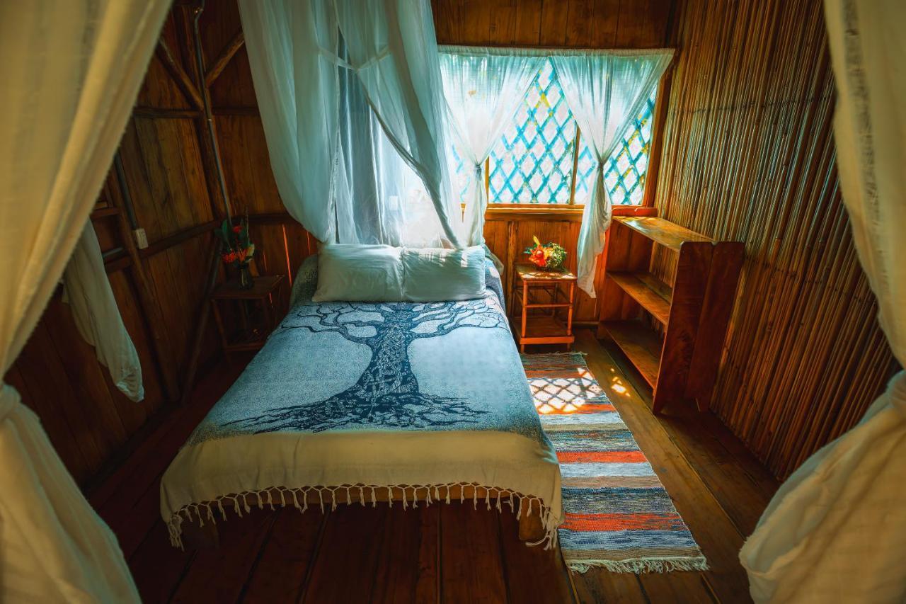 Ocean Forest Ecolodge San Pedrillo Eksteriør billede