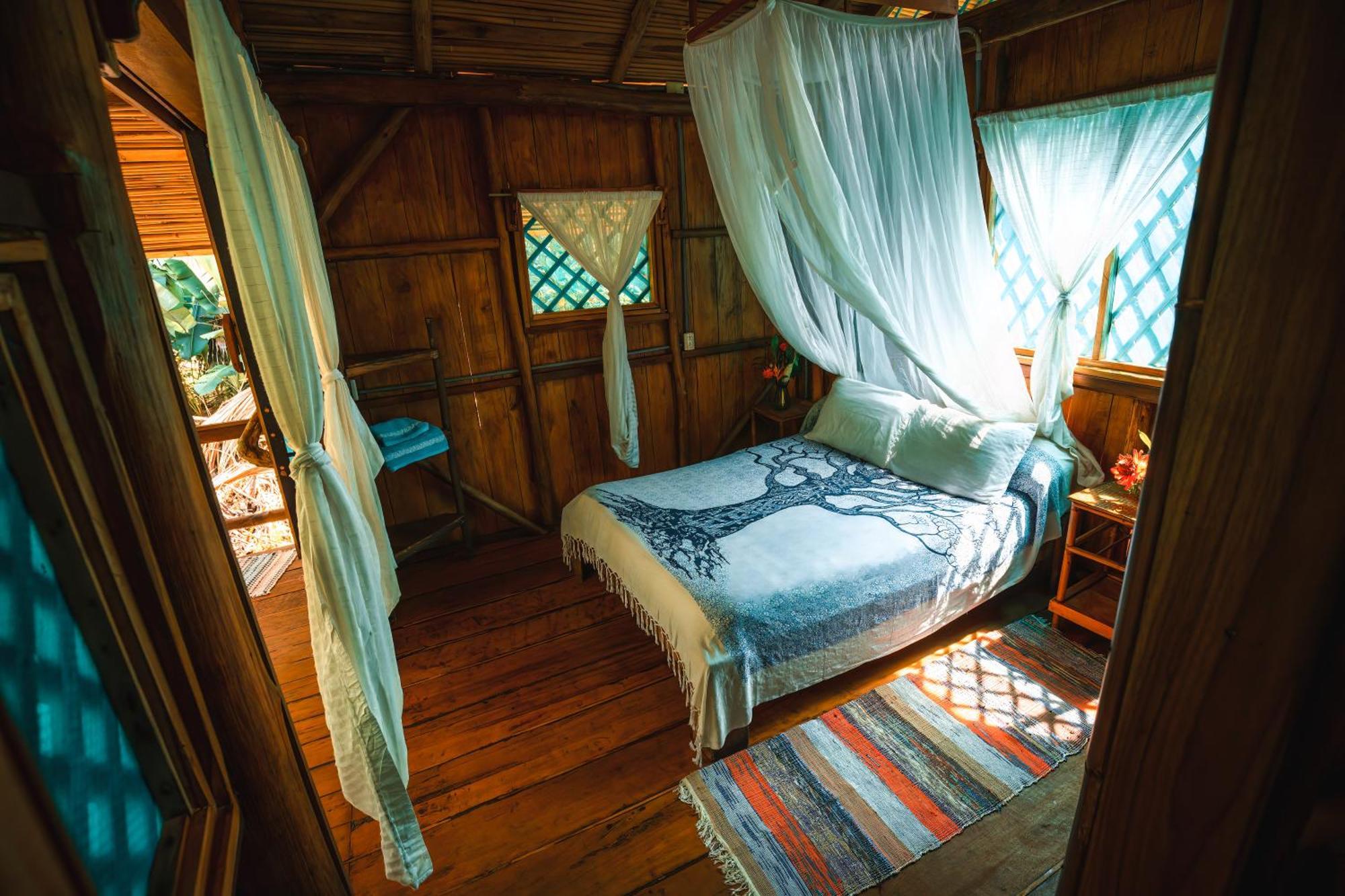 Ocean Forest Ecolodge San Pedrillo Eksteriør billede