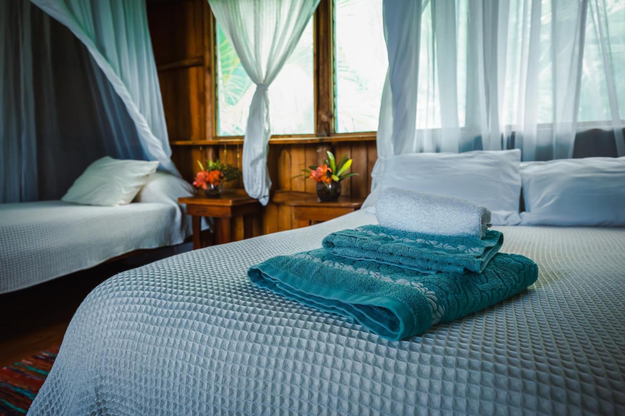 Ocean Forest Ecolodge San Pedrillo Eksteriør billede