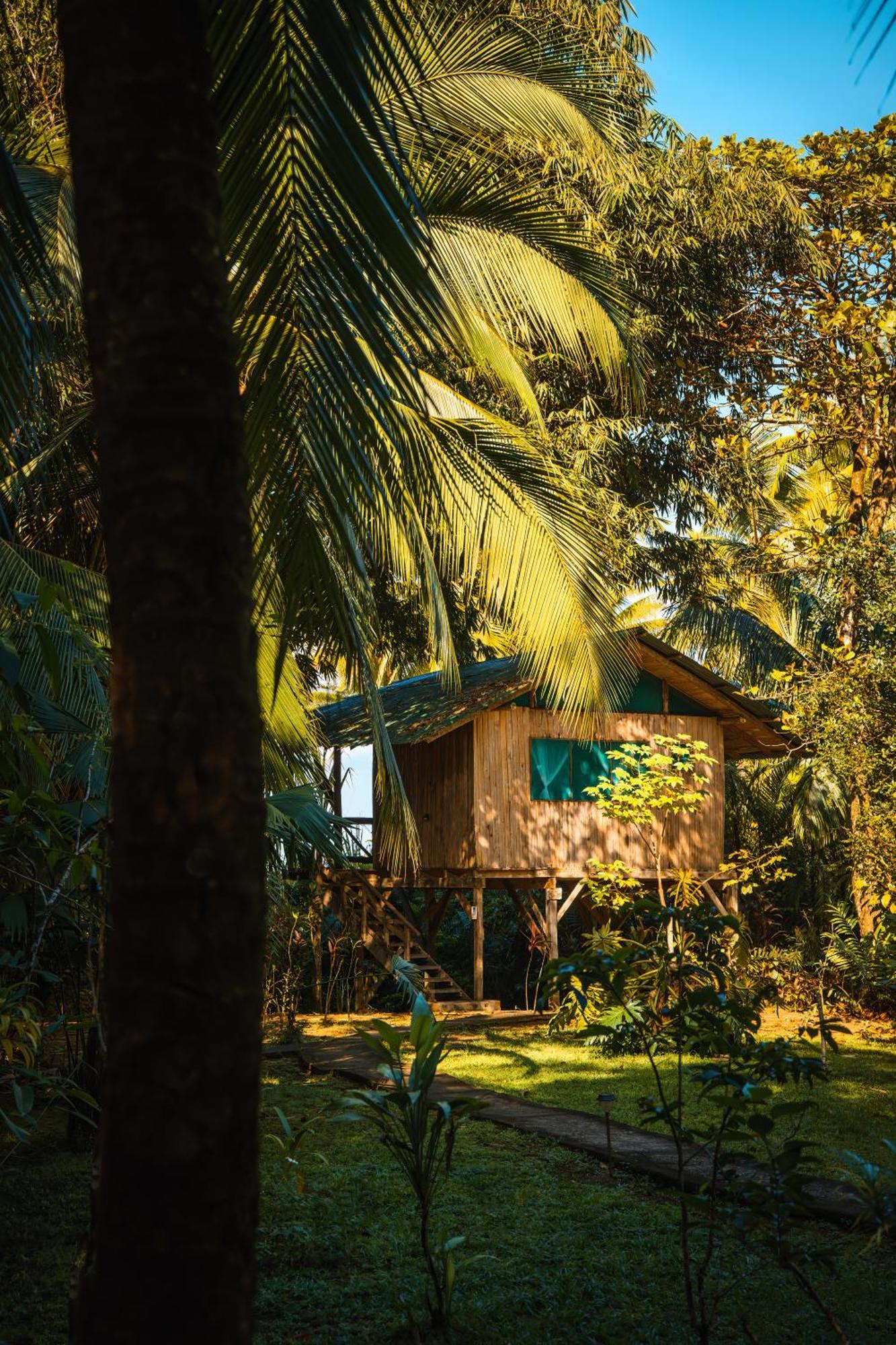 Ocean Forest Ecolodge San Pedrillo Eksteriør billede