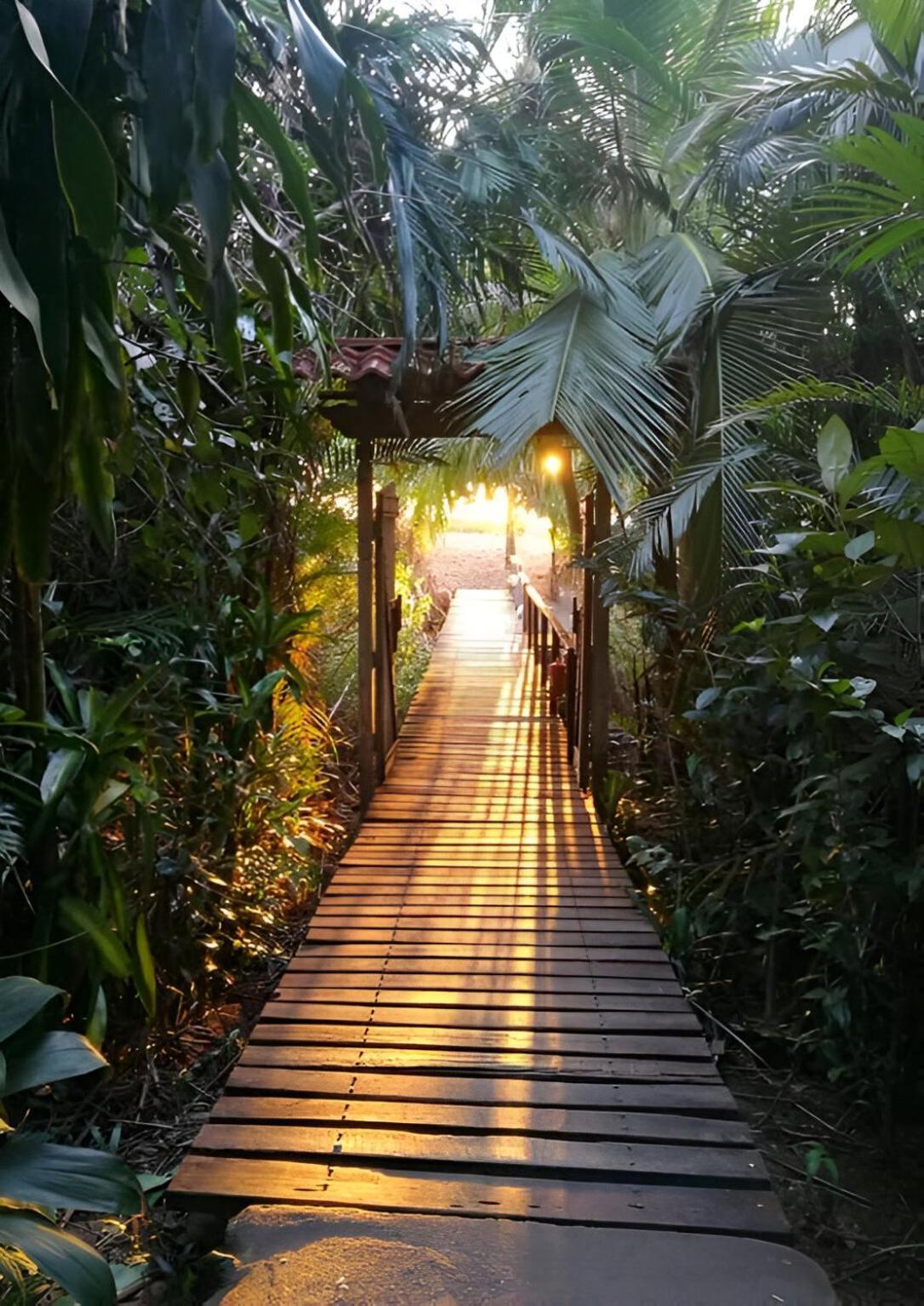 Ocean Forest Ecolodge San Pedrillo Eksteriør billede