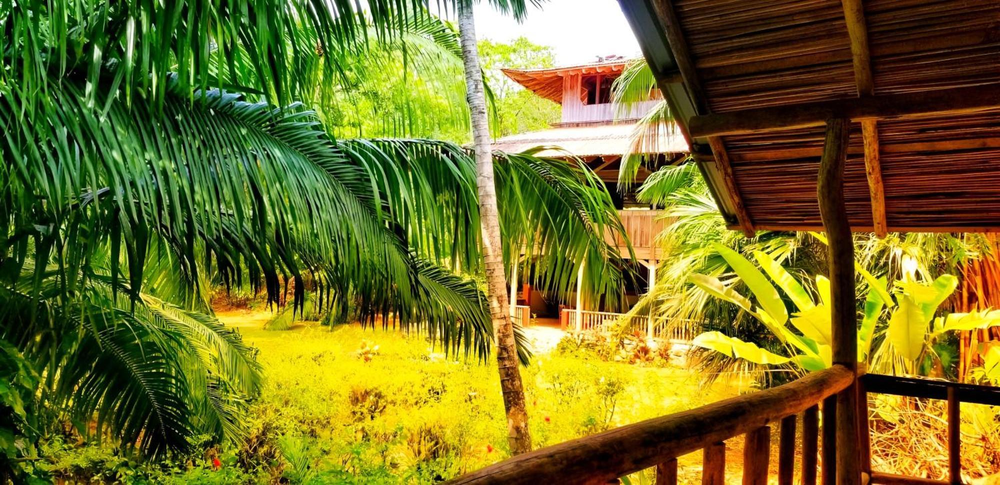 Ocean Forest Ecolodge San Pedrillo Eksteriør billede