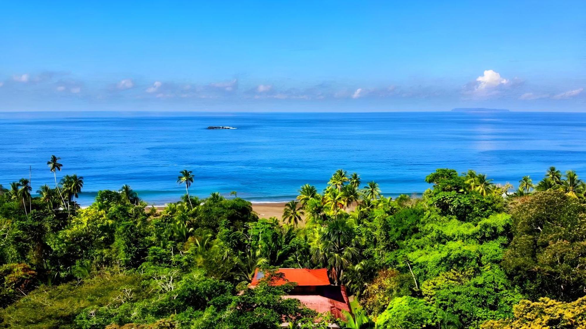 Ocean Forest Ecolodge San Pedrillo Eksteriør billede