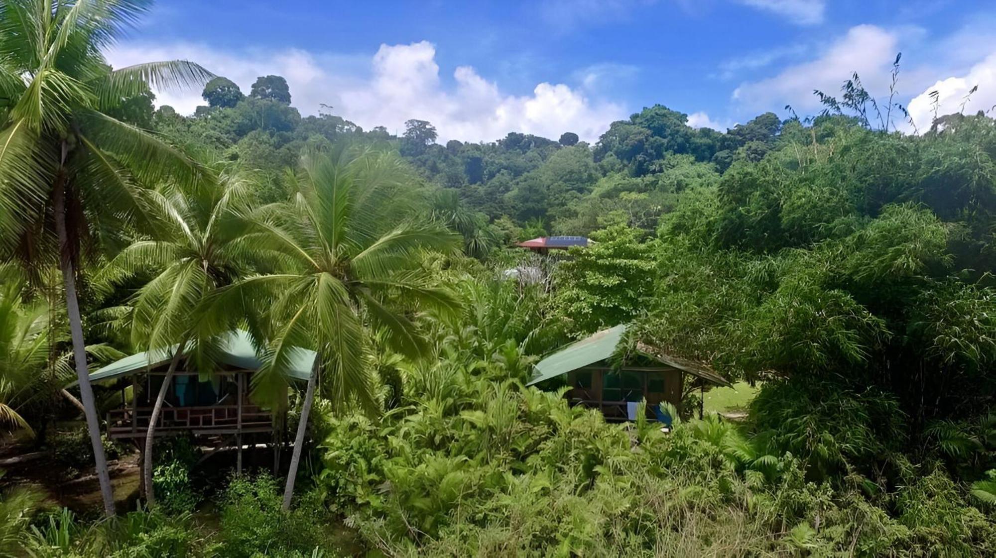 Ocean Forest Ecolodge San Pedrillo Eksteriør billede