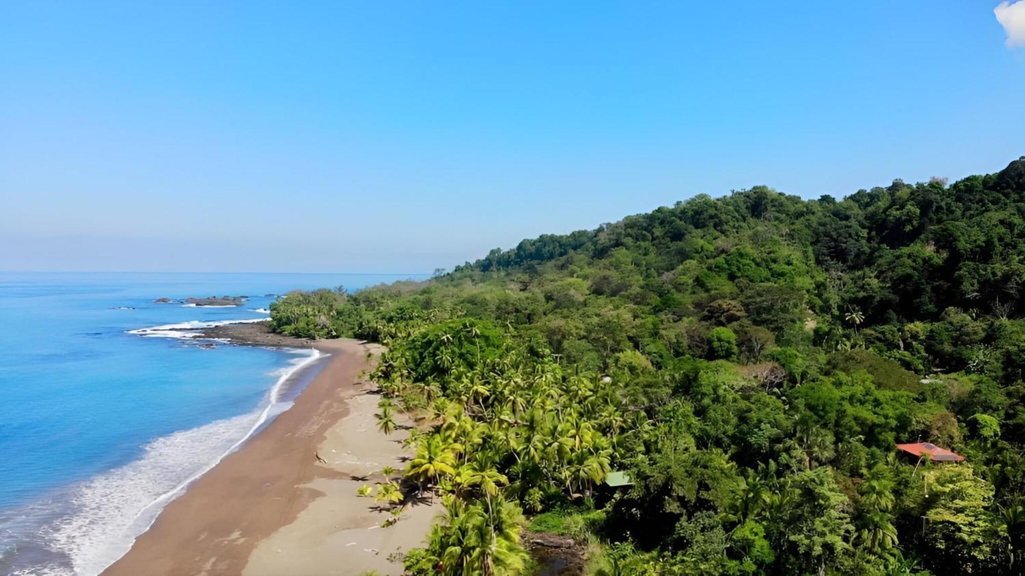 Ocean Forest Ecolodge San Pedrillo Eksteriør billede